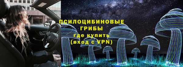 экстази Богданович