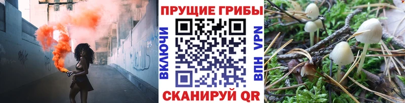 Псилоцибиновые грибы Cubensis  Волчанск 